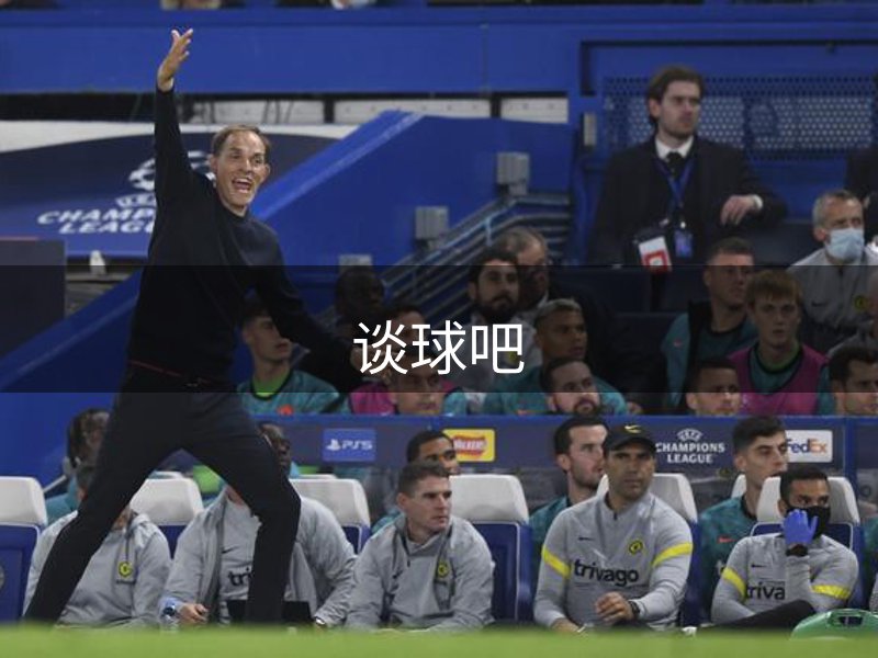 走进谈球吧